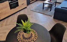 Apartament Książ